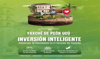 Foto de inmueble en , Col. Yaxche de Peón C.P. 97357, Ucú