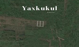 Foto de inmueble en Yaxkukul, Col. Yaxkukul C.P. 97348, Yaxkukul
