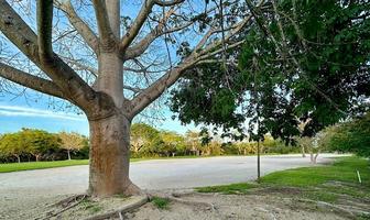 Foto de inmueble en Kilil, Col. Yucatán Country Club C.P. 97308, Mérida