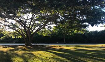 Foto de inmueble en , Col. Yucatán Country Club C.P. 97308, Mérida