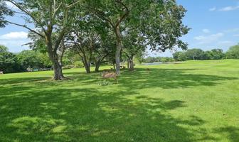 Foto de inmueble en Oasis, Col. Yucatán Country Club C.P. 97308, Mérida