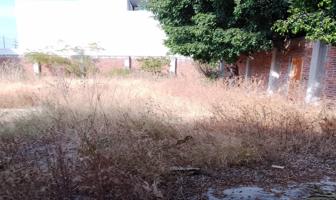 Foto de inmueble en CAMINO VIEJO AL BECERRO #s/n, Col. El Becerro (Santos Degollado) C.P. 38117, Celaya