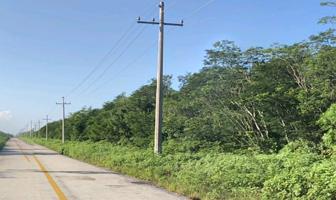 Foto de inmueble en Unnamed Road, Col. Cancún Centro C.P. 77500, Benito Juárez
