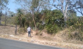 Foto de inmueble en constituyentes, Col. Constituyentes C.P. 91183, Xalapa