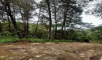 Foto de inmueble en Tecamachalco #sn, Col. Bosques del Sur C.P. 73890, Teziutlán