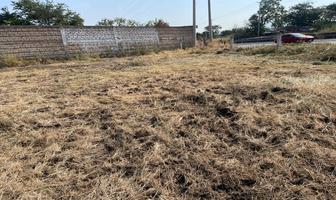 Foto de inmueble en  , Col. Acatlan de Juárez C.P. 45700, Acatlán de Juárez