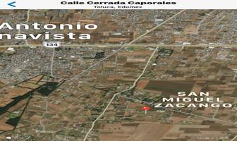Foto de inmueble en Alcatraces, Col. Cacalomacán Centro C.P. 50265, Toluca