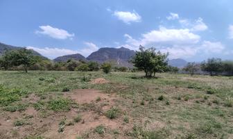 Foto de inmueble en Aldama, Col. Los Ciruelos C.P. 62547, Tlayacapan