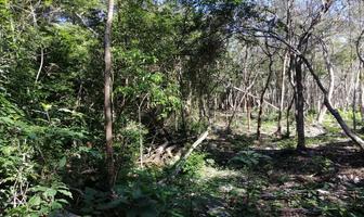 Foto de inmueble en  , Col. Aldea Tulum C.P. 77763, Tulum