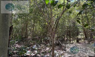Foto de inmueble en  , Col. Aldea Tulum C.P. 77763, Tulum