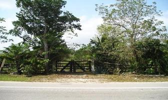 Foto de inmueble en  , Col. Alfredo V Bonfil C.P. 77560, Benito Juárez