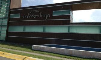 Foto de inmueble en  , Col. Alvarado Centro C.P. 95270, Alvarado