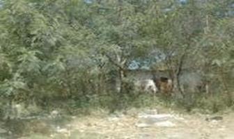 Foto de inmueble en  , Col. Andrés Caballero Moreno Agropecuaria C.P. 66080, General Escobedo