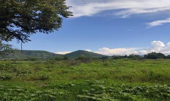 Foto de inmueble en  , Col. Atlacholoaya C.P. 62790, Xochitepec