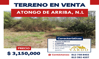 Foto de inmueble en  , Col. Atongo de Abajo (Atongo Allende) C.P. 67362, Allende