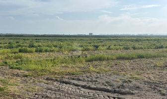 Foto de inmueble en autopista México-Veracruz, carretera 136, Km 04 #4, Col. Acasillados San Martin Notario C.P. 90526, Huamantla