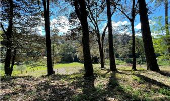 Foto de inmueble en  , Col. Avándaro C.P. 51200, Valle de Bravo