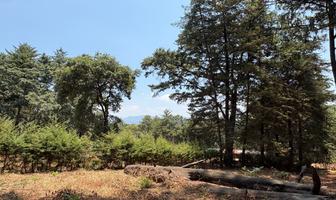 Foto de inmueble en  , Col. Avándaro C.P. 51200, Valle de Bravo