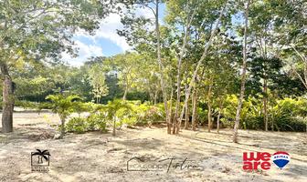 Foto de inmueble en AVENIDA COBA, Col. Guerra de Castas C.P. 77760, Tulum