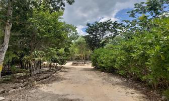 Foto de inmueble en Av Las Palmas manzana 66 lote, Col. Ciudad Chemuyil C.P. 77774, Tulum