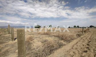 Foto de inmueble en Avenida las palmas, Col. Recibitas (El Remolino) C.P. 51373, Zinacantepec