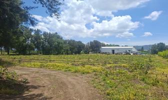 Foto de inmueble en Av Miguel de la Madrid, Col. Ciudad Guzmán Centro C.P. 49000, Zapotlán el Grande