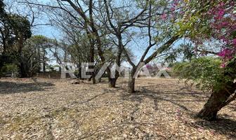 Foto de inmueble en Av Palmira, Col. Palmira Tinguindin C.P. 62490, Cuernavaca