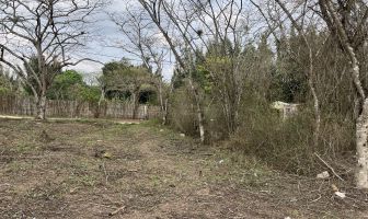 Foto de inmueble en TERRACERIA, Col. 20 de Noviembre C.P. 91230, Tlalnelhuayocan