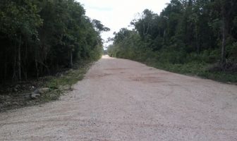 Foto de inmueble en Eco Park Perimeter Rd, Col. Cancún Centro C.P. 77500, Benito Juárez