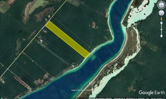 Foto de inmueble en  , Col. Bacalar Centro C.P. 77930, Bacalar