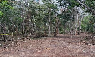 Foto de inmueble en  , Col. Bacalar Centro C.P. 77930, Bacalar