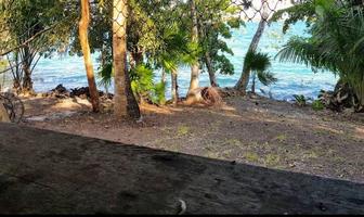 Foto de inmueble en  , Col. Bacalar Dos C.P. 77900, Bacalar