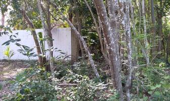 Foto de inmueble en , Col. Bacalar Dos C.P. 77900, Bacalar