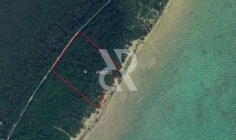 Foto de inmueble en  , Col. Bacalar Dos C.P. 77900, Bacalar