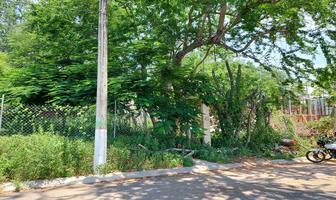 Foto de inmueble en , Col. Bacocho C.P. 71983, San Pedro Mixtepec -Dto. 22 -