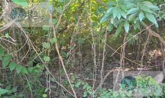 Foto de inmueble en  , Col. Bali C.P. 77718, Solidaridad