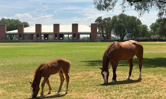 Foto de inmueble en Balvanera Polo & Country Club #30, Col. Corregidora C.P. 76220, Querétaro