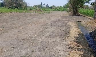 Foto de inmueble en Francisco Imadero #s/n, Col. Huepalo C.P. 62773, Tlaltizapán de Zapata
