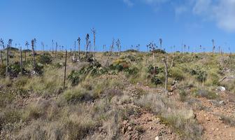 Foto de inmueble en BC 23, Col. La Bufadora C.P. 22794, Ensenada