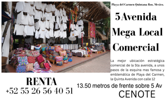 Foto de inmueble en Quinta Avenida, Centro, 77710 Playa del Carmen, Q.R. #225, Col. Playa del Carmen C.P. 77710, Solidaridad