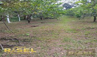 Foto de inmueble en , Col. Bella Esperanza C.P. 91610, Coatepec