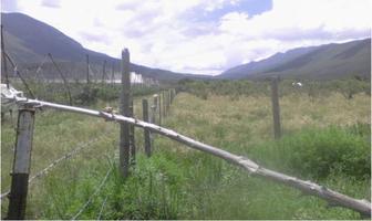 Foto de inmueble en BENITO JUAREZ #100, Col. Rancho Nuevo C.P. 25365, Arteaga