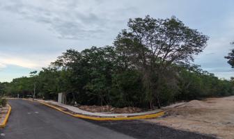 Foto de inmueble en Circuito Tzolkin 2, Col. Ciudad Mayakoba C.P. 77724, Solidaridad