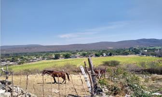 Foto de inmueble en  , Col. Bonifacio García (Colonia Alejandra) C.P. 62774, Tlaltizapán de Zapata