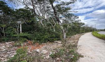 Foto de inmueble en , Col. Bosque de Cristo Rey C.P. 77723, Solidaridad