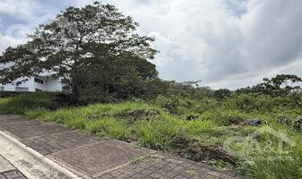Foto de inmueble en  , Col. Bosque de Niebla C.P. 91193, Xalapa