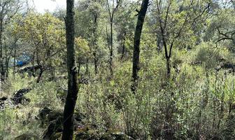 Foto de inmueble en Bosque San Miguel Almaya, Estado de México, Col. San Miguel C.P. 52740, Ocoyoacac
