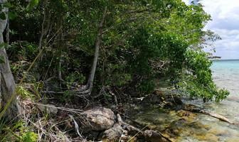 Foto de inmueble en , Col. Buenavista C.P. 77923, Bacalar