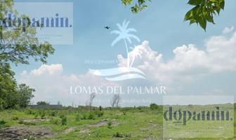 Foto de inmueble en  , Col. Buenavista C.P. 92055, Tampico Alto