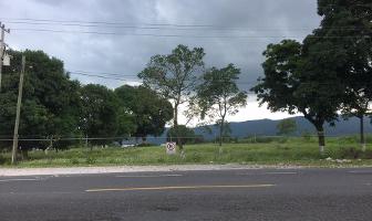 Foto de inmueble en CARRETERA FEDERAL A VERACRUZ , Col. Venta Parada C.P. 94954, Amatlán de los Reyes